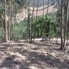Nivelamento De Terreno