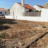 Limpeza De Terreno