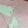 Outros Trabalhos De Pintura