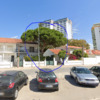 Poda Ou Remoção De árvore E Arbusto