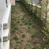 Manutenção De Jardim