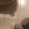 Manutenção De Tubagens