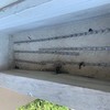 Manutenção De Jardim
