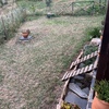 Construção De Jardim