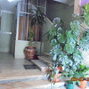 Adaptar Casa