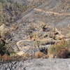 Nivelamento De Terreno