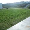 Manutenção De Jardim
