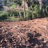 Projeto De Paisagismo