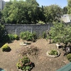 Construção De Jardim