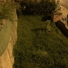 Manutenção De Jardim