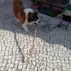 Outros Trabalhos De Pedreiro