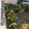 Construção De Jardim