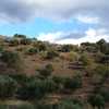 Nivelamento De Terreno