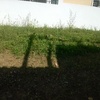 Construção de jardim