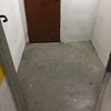 Pequenos trabalhos Pintores