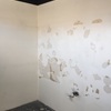 Pintar Muro