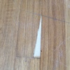 Reparar soalho flutuante em sala
