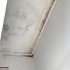 Parede Em Gesso Cartonado