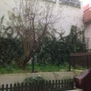 Remodelar jardim de apartamento