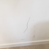 Pintar Casa