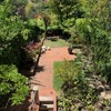 Manutenção De Jardim