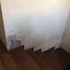 Pintar Casa