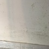 Deteção E Impermeabilização De Infiltrações