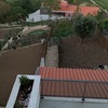 Plantação De árvore E Relva