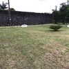Plantação De árvore E Gramado