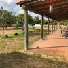 Manutenção De Jardim