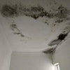 Outros Trabalhos De Pintura