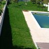 Limpeza/manutenção de relvado