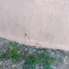 Derrubar Muro Ou Parede