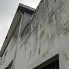 Pintar Edifício
