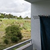 Cortinas De Vidro