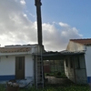 Poda Ou Remoção De árvore E Arbusto