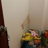 Deteção E Impermeabilização De Infiltrações