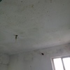 Pintar Casa