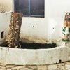 Poda Ou Remoção De árvore E Arbusto