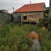 Construção De Jardim