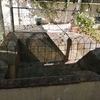 Construir Piscina