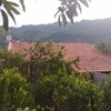 Instalação De Telhado
