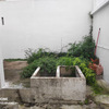 Construção De Jardim