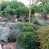 Mantenimento jardim