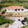 Manutenção De Jardim