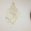 Humidade na parede da sala - tratar e pintar