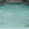 Remodelar piscina