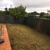 "arranjo" de pequeno jardim