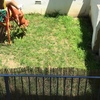 Pavimento De Tijoleira