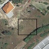 Plantação De árvore E Relva